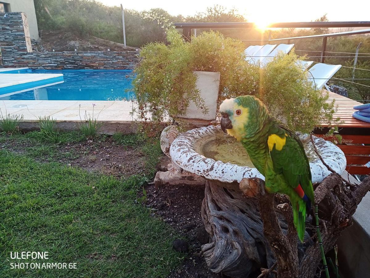 Miracampo Apartment ซานอันโตนิโอ เด อาร์เรดอนโด ภายนอก รูปภาพ